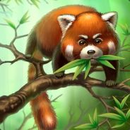 [FP] Red Panda