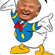 Donald J Duck