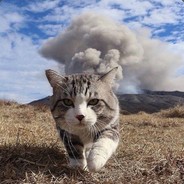Volcano_Cat