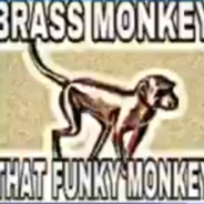brass monkey