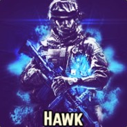 [ILL]Hawk