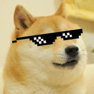 SteamRep » doge gaming [Banned] | 76561198040554266 | STEAM_0:0:40144269