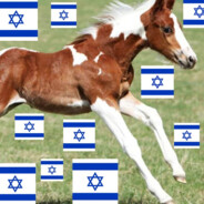 Jewish Horse