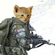 Cat_Soldier