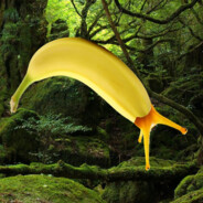 Banana Slug Banana